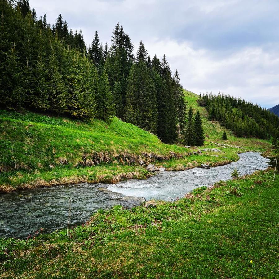 Fewo D'Rock Arosa- Center Of Nightlife By Nature Apartments Switzerland מראה חיצוני תמונה