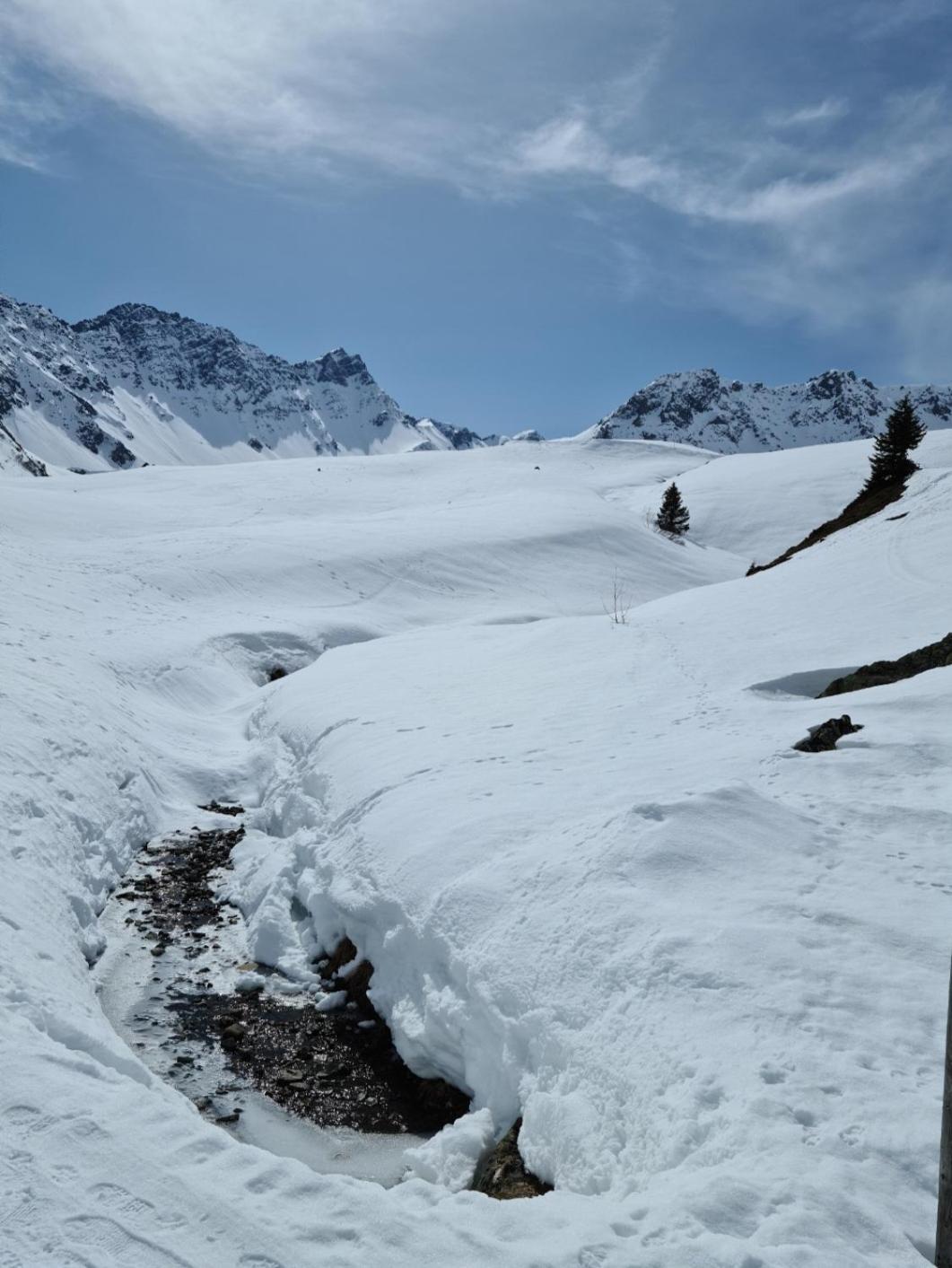Fewo D'Rock Arosa- Center Of Nightlife By Nature Apartments Switzerland מראה חיצוני תמונה