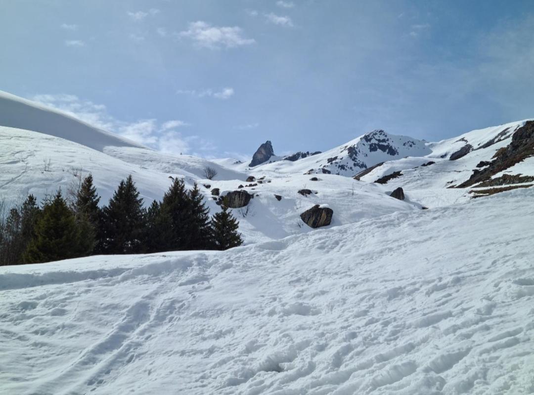 Fewo D'Rock Arosa- Center Of Nightlife By Nature Apartments Switzerland מראה חיצוני תמונה