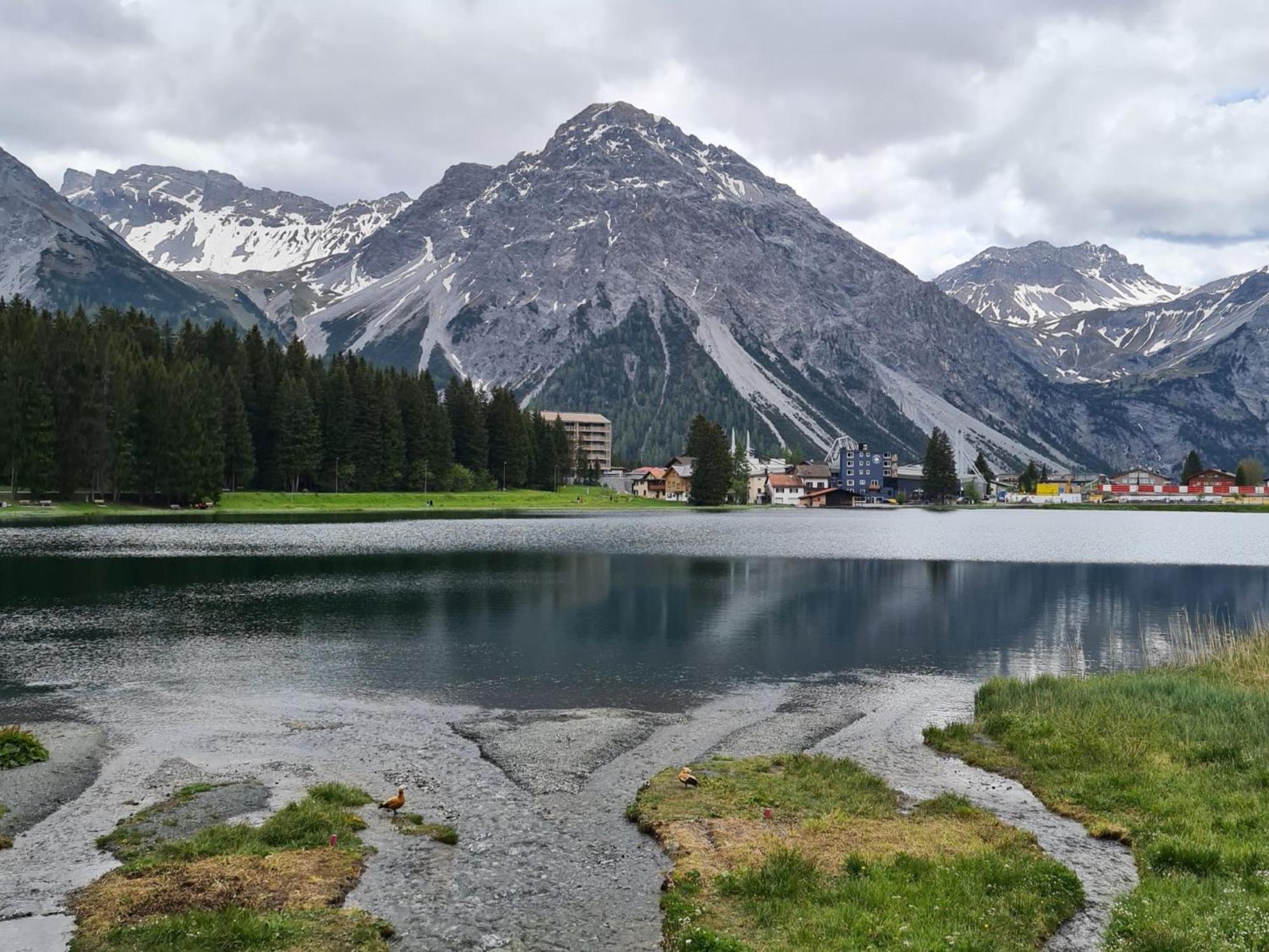 Fewo D'Rock Arosa- Center Of Nightlife By Nature Apartments Switzerland מראה חיצוני תמונה
